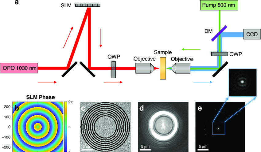 Dynamic control and manipulation of near-fields using direct feedback