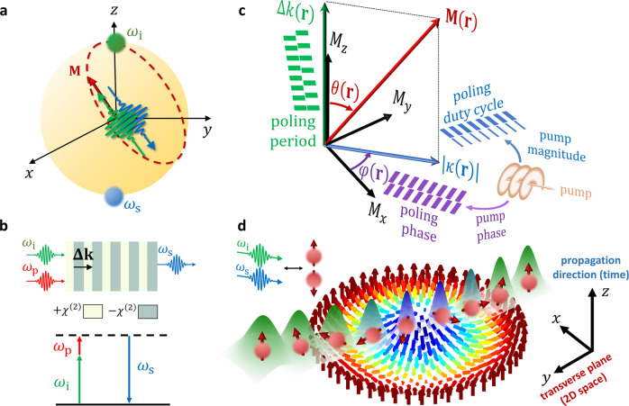 Emulating spin transport with nonlinear optics, from high-order skyrmions to the topological Hall effect