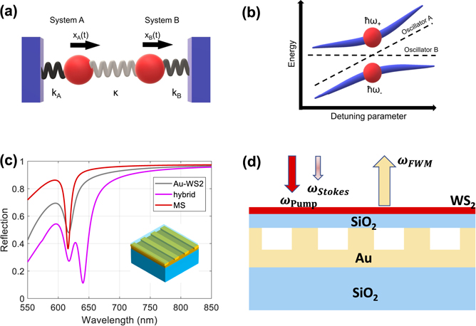 Inverse design of broadband, strongly-coupled plexcitonic nonlinear metasurfaces