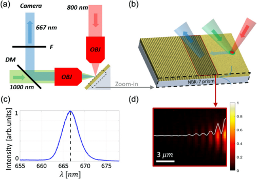Nonlinear Forced Response of Plasmonic Nanostructures